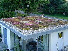 a house with a green roof and plants growing on the side of it's roof