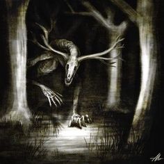 an image of two animals in the woods