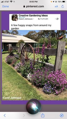 an iphone photo with the caption'creative gardening ideas'in front of it