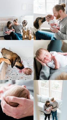 a collage of photos with baby and dog