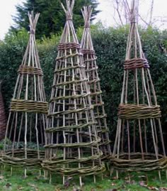 three small trees made out of sticks in the grass