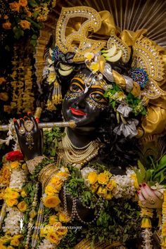 Dwarikadhish Hd Wallpaper, Iskcon Krishna, Shree Krishna Wallpapers, Wallpaper Photo Gallery, Krishna Book, Lord Krishna Hd Wallpaper, Peace Illustration, Ram Photos, Radha Krishna Wallpaper