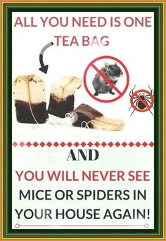 a sign warning people not to use tea bags and you will never see mice or spiders in your house again