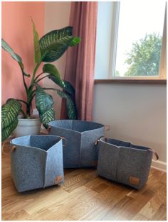 three grey baskets sitting on top of a wooden floor next to a plant in a pot