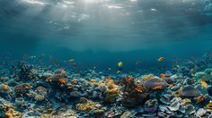 an underwater view of a coral reef with lots of fish swimming around it and sunlight shining through the water