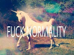 ♥ Im Going Crazy, Silly Pictures, A Unicorn, Silly Me, What’s Going On, Just Girly Things, Going Crazy, Reaction Pictures, New Age