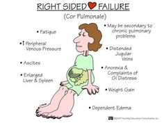 right sided heart failure....with tons of other patho pics! Nclex Review, Nclex Study, Nursing Diagnosis, Gastrointestinal System, Nursing Mnemonics, Cardiac Nursing