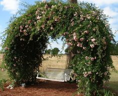 an arch covered in pink flowers next to a bench