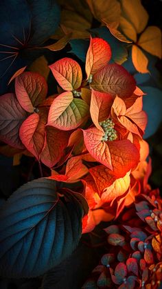 some red and green leaves are lit up by the light of a lamp on top of them