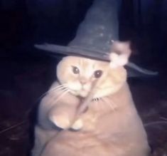 an orange cat wearing a witches hat and pointing it's finger at the camera