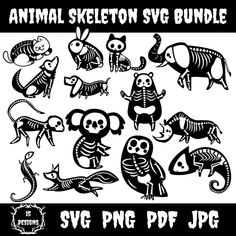 an animal skeleton svg bundle is shown