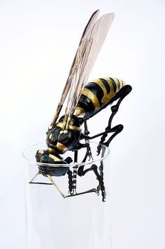 a close up of a glass vase with a bee in it's body inside