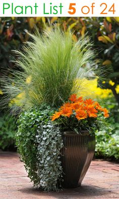 a potted plant with orange flowers and green grass