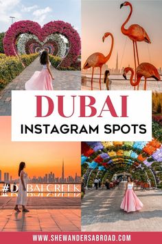 dubai instagram spots with pink flamingos in the background and white text overlay