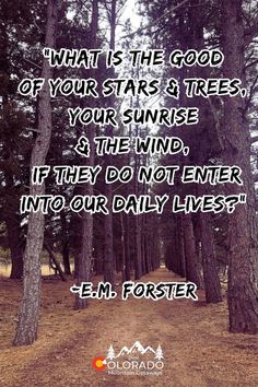 a dirt road surrounded by trees with the words, what is the good of your stars & trees? your sunrise is the wind if they do not enter into our daily lives