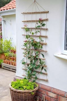 a wicker basket sitting next to a wall with plants growing on it and hanging from the side