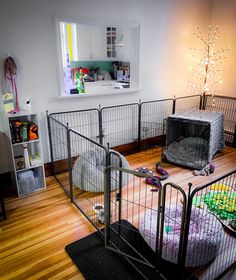 a caged in room with two beds and a small dog house on the floor