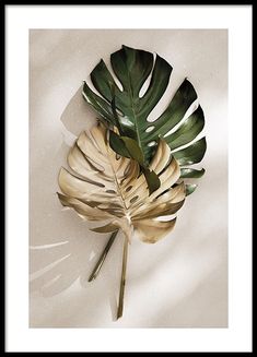 a large green leaf laying on top of a white surface