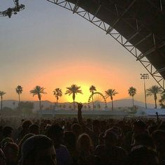 the sun is setting behind palm trees at an outdoor music festival in front of a crowd