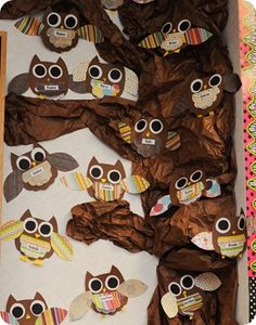 an open box filled with brown paper and owls