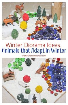 two pictures with the words winter diorama ideas animals that / dapt in winter