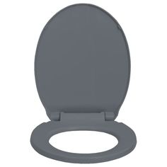 This premium toilet seat, which is suitable for all standard toilet bowls, will be ideal for family homes, restaurant, department stores and hotels. Made of strong polypropylene, the seat is highly stable and durable. The seat has a soft-close function, which means it closes slowly and quietly. It has quick-release mechanism so the seat can be removed easily as needed. The seat is easy to clean and quick to install with top mount hinges and corrosion free hardware.Color: GrayMaterial: PolypropyleneOverall size: 18.1" x 13.4" (L x W)Shape: OvalWidth between the two hinges: 4.3"-6.7" (adjustable)Mounting hole diameter: 0.6"Suitable for all regular toilet bowlsScratch-resistant surfaceWith a soft-close functionQuick-release hinge mechanismWith a rubber pad on the backAssembly required: YesNot Toilet Chair, Fireplace Fan, Toilet Bowls, Green Oval, Department Stores, Family Homes, Home Hardware, Toilet Seat, Tampon