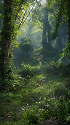 a path in the middle of a lush green forest