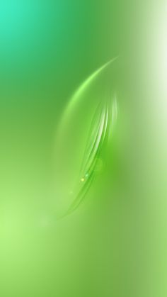 an abstract green background with water drops