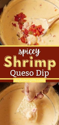 this spicy shrimp quesadilla dip is the perfect appetizer