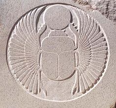 an image of a bug in the sand that is carved into a rock or cement