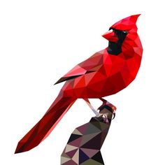 a red bird sitting on top of a person's hand in low poly art