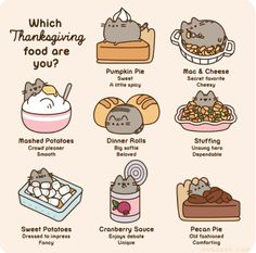 an image of thanksgiving food for cats