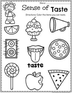 the worksheet for making sense of taste