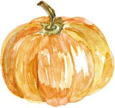 a watercolor drawing of a pumpkin on a white background, with the top half painted orange