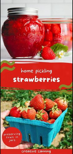 strawberries in a blue container with text overlay reading home picking strawberries preserver