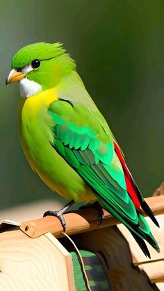 a green bird sitting on top of a wooden post