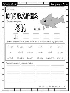 worksheet for beginning and ending the word shark with an image of a shark on it