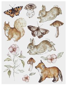 an image of animals and butterflies on a white background with watercolor paint style flowers