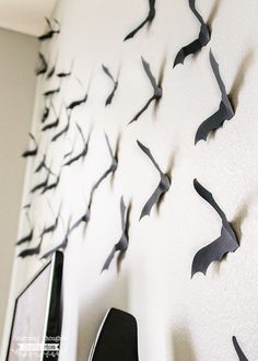 the bats are hanging on the wall