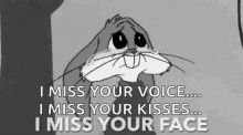 an animated rabbit with the caption i miss your voice, i miss your face