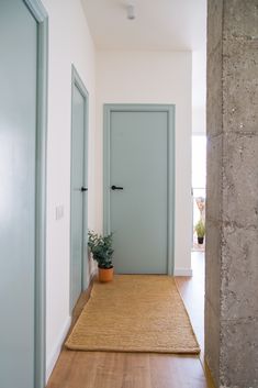 an empty hallway with two doors and a rug on the floor