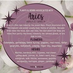 a purple circle surrounded by white flowers with the words ariies written in black on it