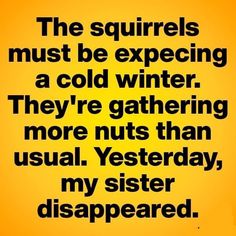 a yellow background with black text that says the squirrels must be expecting a cold winter they're gathering more nuts than usual, yesterday, my sister,