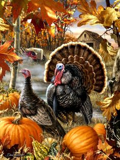 two turkeys are standing in the middle of a field with pumpkins and leaves