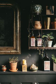 a shelf filled with potted plants next to a mirror