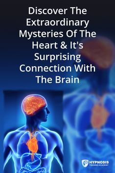 Hypnosis Quotes, Brain Chemicals, Cool Heart, Facts About Guys, Heart And Brain, Heart Brain, The Human Heart, Brain Facts, Brain Connections