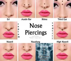 the nose piercings are different styles and shapes, but not all have their own name