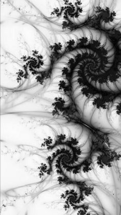 an abstract black and white photo with swirly lines on it's surface, looking like a spiral