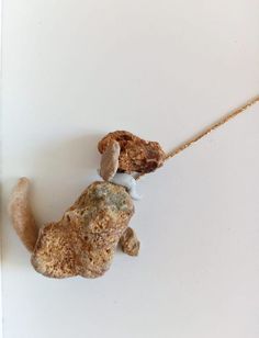 a small stuffed dog is on a string attached to a white wall with a gold chain