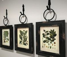 three framed pictures hanging on the wall next to each other with metal rings around them